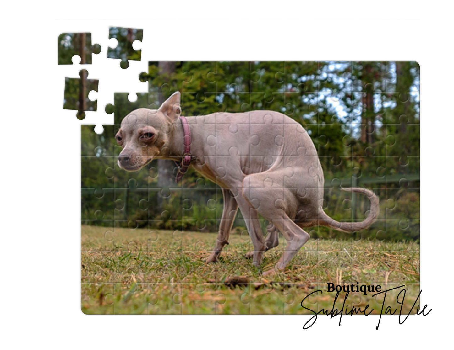 Casse-tête 80 pièces chien humoristique